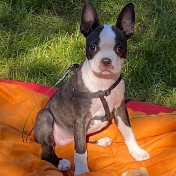 Meet your Posher, Cathy - Picture 1 of 1